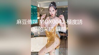 麻豆傳媒 MDX0042 極度誘惑的采訪 蘇暢