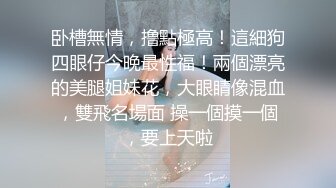 后入女仆前女友