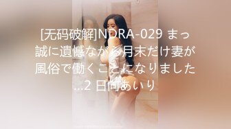 [无码破解]NDRA-029 まっ誠に遺憾ながら月末だけ妻が風俗で働くことになりました…2 日向あいり