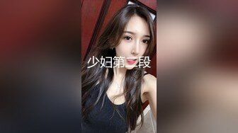 少妇第二段