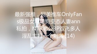 最新强推，网美推车OnlyFans极品女M母狗变态人妻ann私拍，NTR老公3P双飞多人淫乱主打一个刺激 (14)