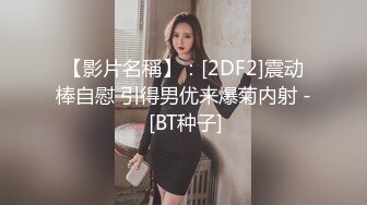 【影片名稱】：[2DF2]震动棒自慰 引得男优来爆菊内射 - [BT种子]