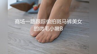 麻豆传媒映画x这个面试有点硬.MDHG-0008.苏畅.性感可爱首席女神