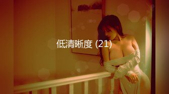 低清晰度 (21)