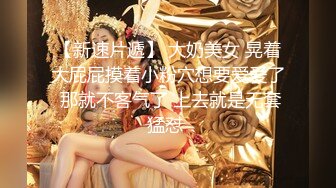 【解说】闪耀在岁月蒙尘中的女神 —— 桃谷绘里香