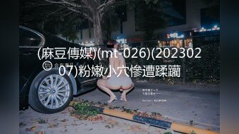 (麻豆傳媒)(mt-026)(20230207)粉嫩小穴慘遭蹂躪