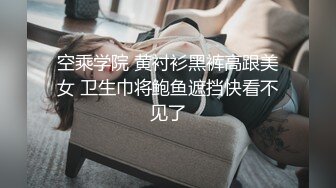 北京小黑色。沙发上