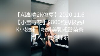 麻豆传媒 md-0303 孤注一掷-夏晴子、姚彤彤