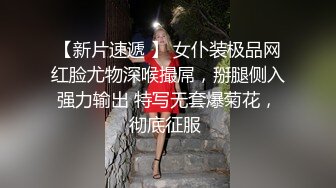 变装奴隶狗