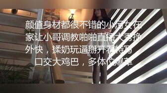 高端泄密流出视图高冷白领姐姐王琪自拍酒店变身母狗被领导草 (3)