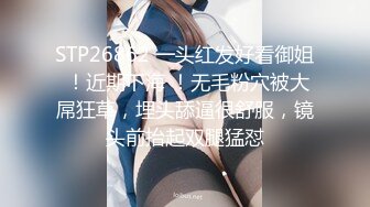 0537车内口交