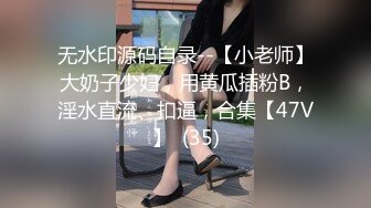 无水印源码自录--【小老师】大奶子少妇，用黄瓜插粉B，淫水直流、扣逼，合集【47V】  (35)