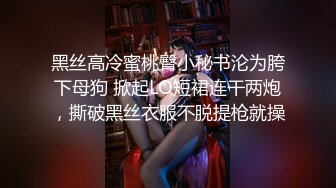 黑丝高冷蜜桃臀小秘书沦为胯下母狗 掀起LO短裙连干两炮，撕破黑丝衣服不脱提枪就操