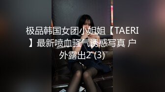 极品韩国女团小姐姐【TAERI】最新喷血骚气诱惑写真 户外露出2 (3)