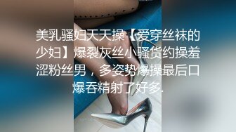 美乳骚妇天天操【爱穿丝袜的少妇】爆裂灰丝小骚货约操羞涩粉丝男，多姿势爆操最后口爆吞精射了好多.