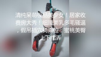 爆機少女喵小吉 – 玉兔迎春