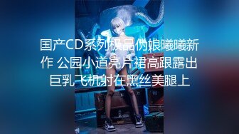 国产CD系列极品伪娘曦曦新作 公园小道亮片裙高跟露出巨乳飞机射在黑丝美腿上