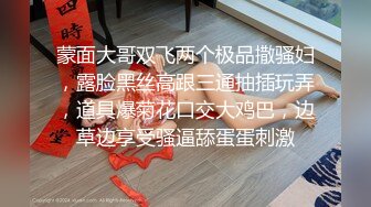 《重磅VIP精品✿福利》最新假面舞团人气F奶御姐【海琼】顶配会员版~透视露毛裸奶顶胯抖奶摇摆挑逗特骚~可射