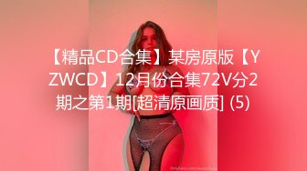 【精品CD合集】某房原版【YZWCD】12月份合集72V分2期之第1期[超清原画质] (5)