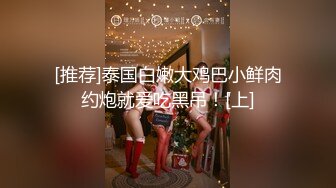 商场女厕全景偷拍多位高跟肉丝美女职员的极品美鲍