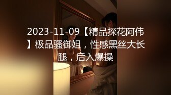 2023-11-09【精品探花阿伟】极品骚御姐，性感黑丝大长腿，后入爆操