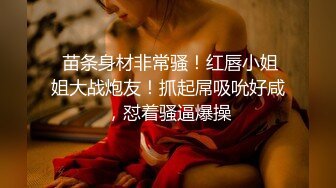 白虎老婆肛塞狗链