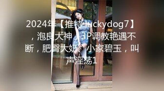 2024年【推特 luckydog7】，泡良大神，3P调教艳遇不断，肥臀大奶、小家碧玉，叫声淫荡1