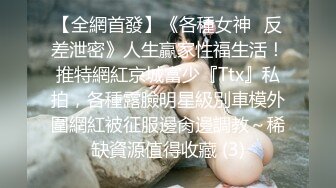 【全網首發】《各種女神☀反差泄密》人生贏家性福生活！推特網紅京城富少『Ttx』私拍，各種露臉明星級別車模外圍網紅被征服邊肏邊調教～稀缺資源值得收藏 (3)