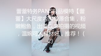 双马尾蜜桃臀小仙女