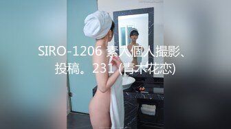 SIRO-1206 素人個人撮影、投稿。231 (青木花恋)