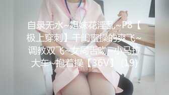 无敌少妇第一季