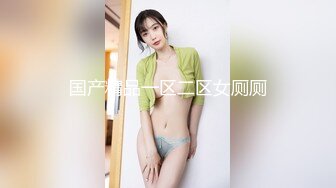 国产精品一区二区女厕厕