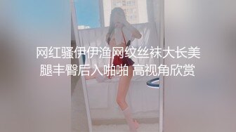 网红骚伊伊渔网纹丝袜大长美腿丰臀后入啪啪 高视角欣赏