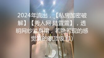 2024年流出，【私房加密破解】【秀人网 陆萱萱】，透明网纱紧身裙，若隐若现的感觉真的很顶级 (1)