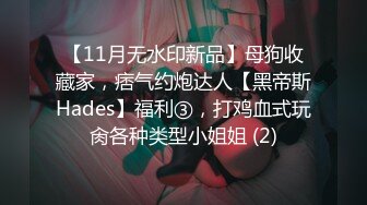 【11月无水印新品】母狗收藏家，痞气约炮达人【黑帝斯Hades】福利③，打鸡血式玩肏各种类型小姐姐 (2)