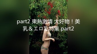 part2 東熱激情 大好物！美乳＆エロ乳特集 part2