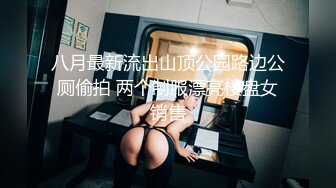 八月最新流出山顶公园路边公厕偷拍 两个制服漂亮楼盘女销售