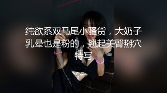 纯欲系双马尾小骚货，大奶子乳晕也是粉的，翘起美臀掰穴特写