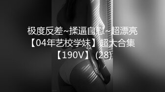 极度反差~揉逼自慰~超漂亮【04年艺校学妹】超大合集 【190V】 (28)