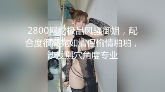 2800网约极品风骚御姐，配合度很高宛如情侣偷情啪啪，沙发掰穴角度专业