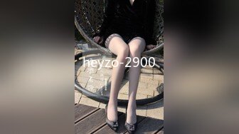 heyzo-2900