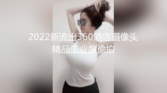 2022新流出360酒店摄像头精品工业房偷拍