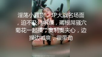 STP25500 大圈高端，90多斤花臂妹子，性格超好，抽根烟继续第二炮，抬起双腿持续输出 VIP2209