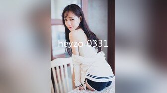 heyzo-0331