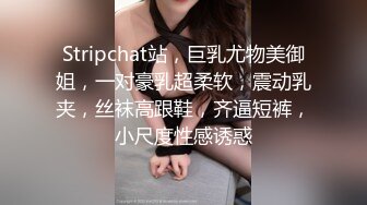 MDX-0238-1时间停止器之痴女空姐的逆袭-寻小小