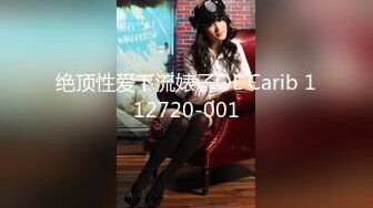 绝顶性爱下流婊子OL Carib 112720-001