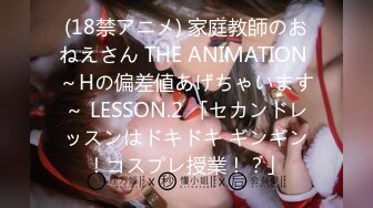 (18禁アニメ) 家庭教師のおねえさん THE ANIMATION ～Hの偏差値あげちゃいます～ LESSON.2 「セカンドレッスンはドキドキ ギンギン！コスプレ授業！？」