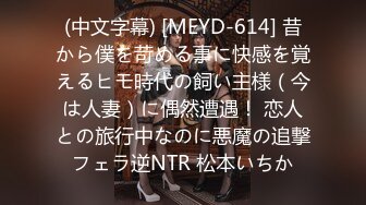 (中文字幕) [MEYD-614] 昔から僕を苛める事に快感を覚えるヒモ時代の飼い主様（今は人妻）に偶然遭遇！ 恋人との旅行中なのに悪魔の追撃フェラ逆NTR 松本いちか