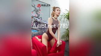 fulibl.net (78)